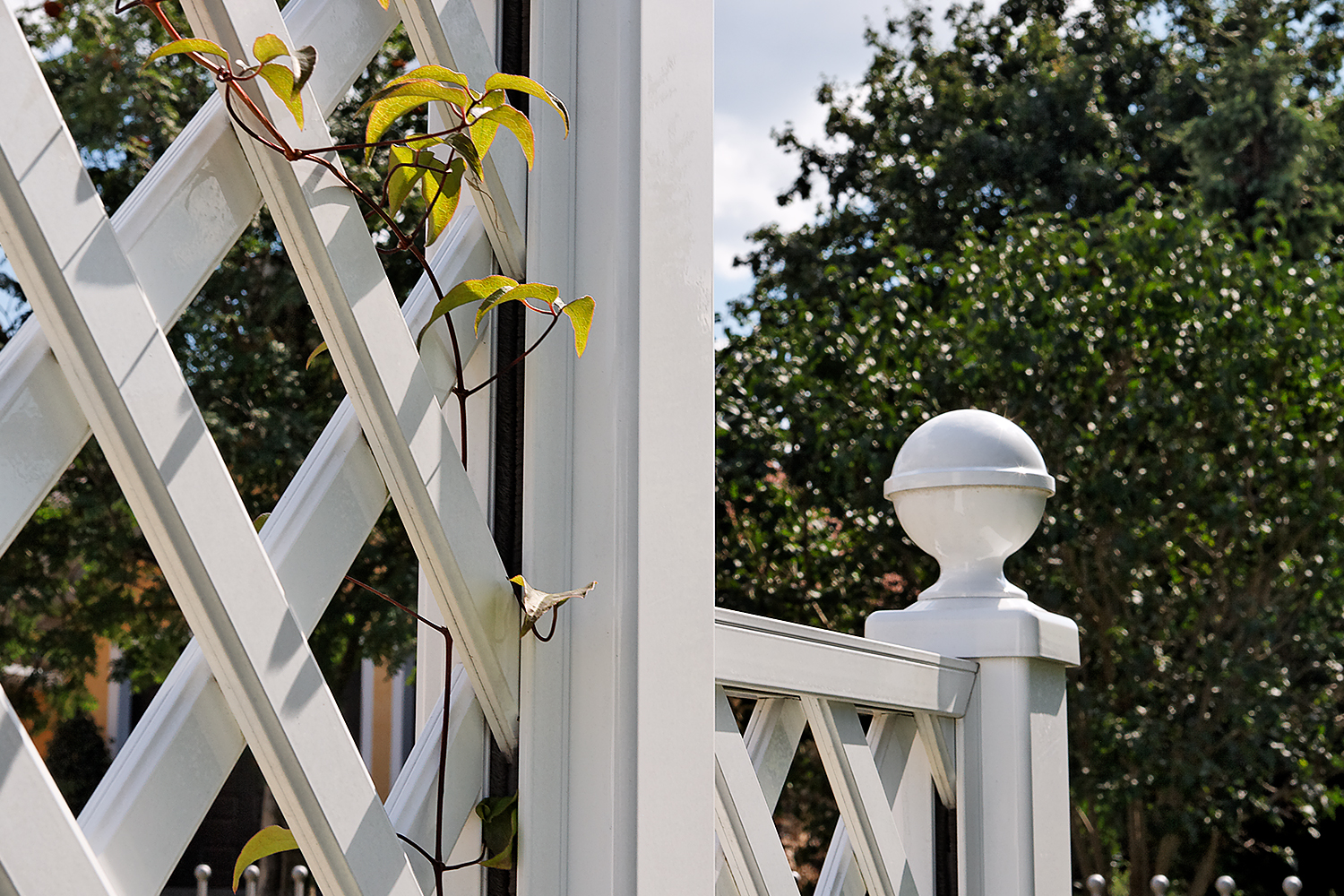 Trellises